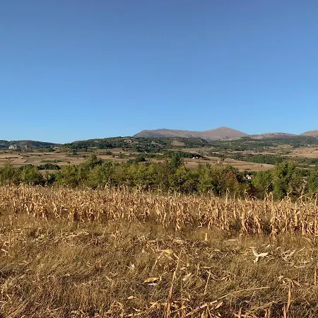 Agro Lux - Milenovic *