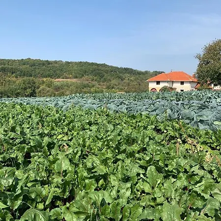 Agro Lux - Milenovic Sokobanja
