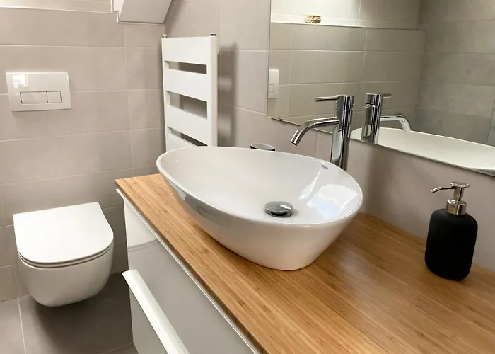 Agro Lux - Milenovic 索科矿泉村