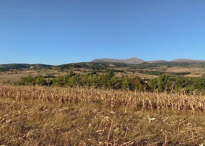 Agro Lux - Milenovic *