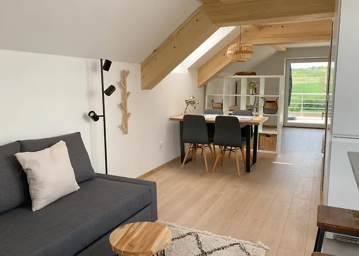 Agro Lux - Milenovic 公寓 *